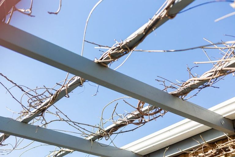 Photo of property in 48 Tweed Road, Papakowhai, Porirua, 5024