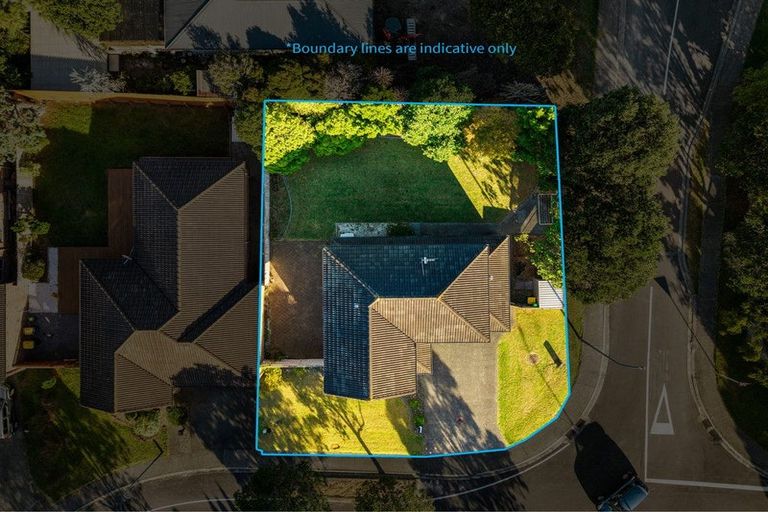 Photo of property in 53 Espalier Drive, Henderson, Auckland, 0612