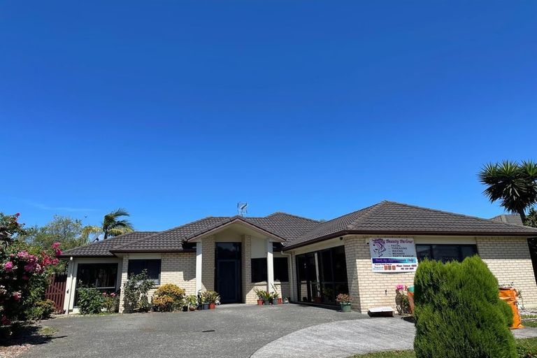 Photo of property in 311 Chapel Road, Flat Bush, Auckland, 2016