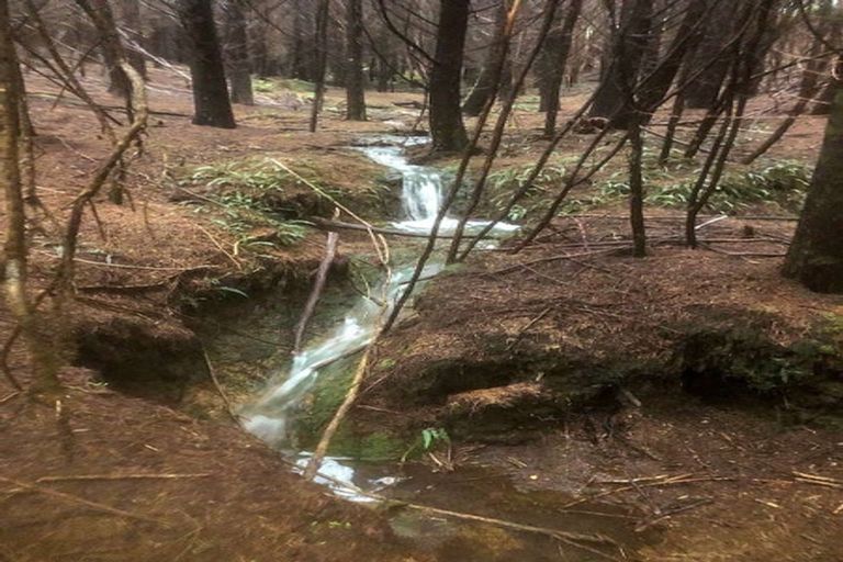 Photo of property in 88 Leccino Valley Road, Mangonui, 0494