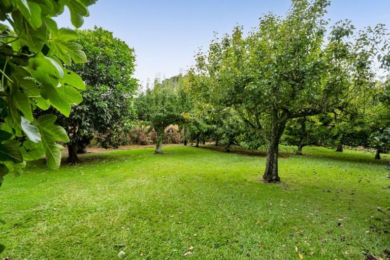 Photo of property in 217 Brown Road, Brixton, Waitara, 4382