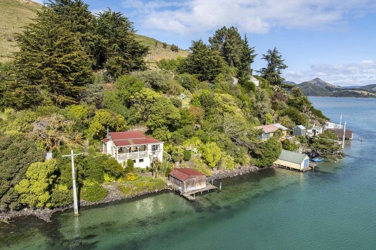 Photo of property in 265 Cape Saunders Road, Cape Saunders, Dunedin, 9077