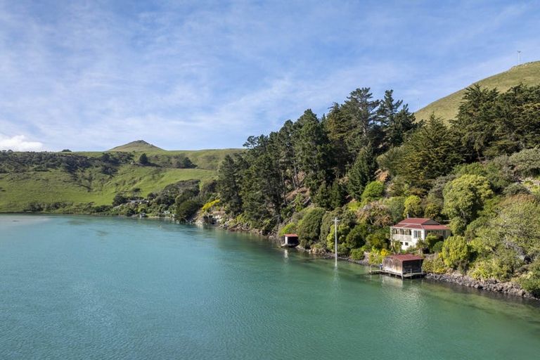 Photo of property in 265 Cape Saunders Road, Cape Saunders, Dunedin, 9077