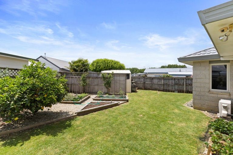 Photo of property in 88 Tawari Street, Matamata, 3400