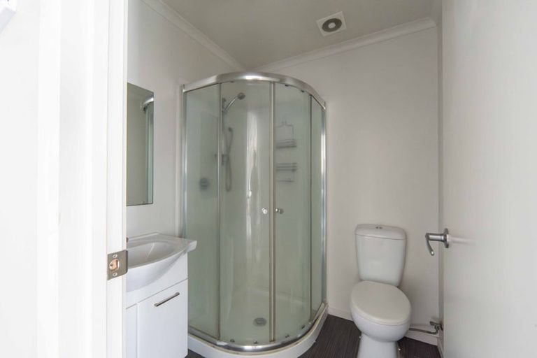 Photo of property in 58 Willoughby Street, Whitiora, Hamilton, 3200