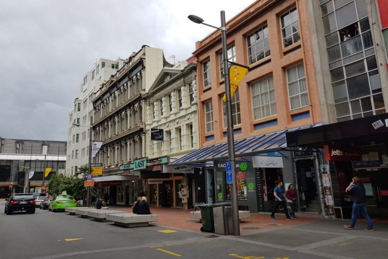 Photo of property in 45 Cuba Street, Takaro, Palmerston North, 4412