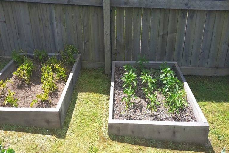 Photo of property in 2 Doug Wilson Crescent, Kawerau, 3127