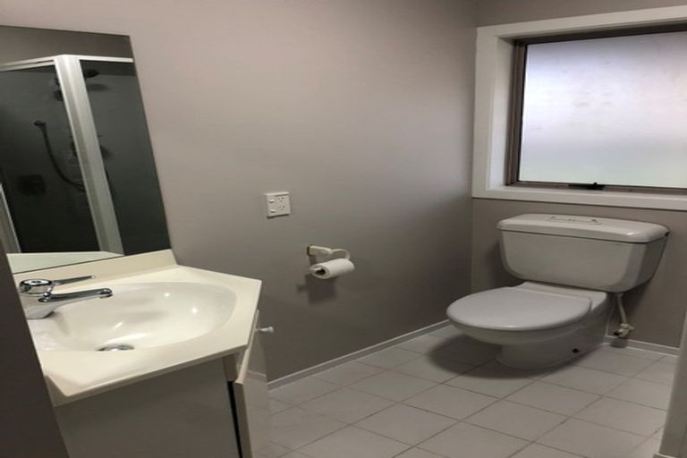 Photo of property in 91e Lake Domain Drive, Frankton, Hamilton, 3204