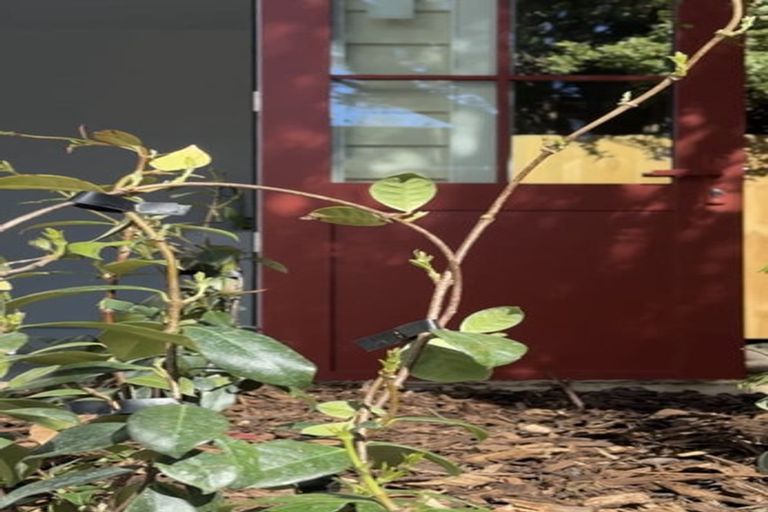 Photo of property in 3/129 Bristol Street, St Albans, Christchurch, 8014