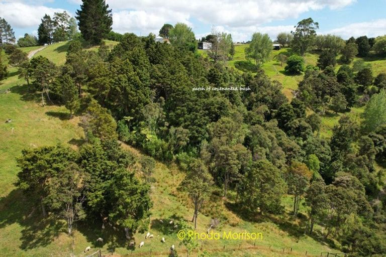 Photo of property in 330 Franklin Road, Paparoa, 0571