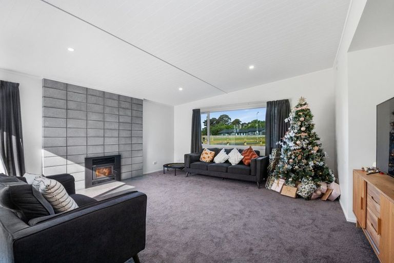 Photo of property in 64 John Norrie Place, Motuoapa, Turangi, 3382