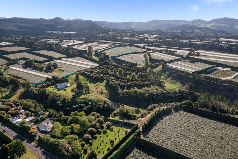 Photo of property in 612 No 1 Road, Te Puke, 3182