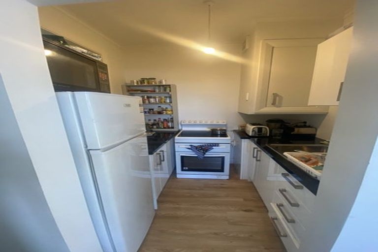 Photo of property in 60a Rakau Road, Hataitai, Wellington, 6021