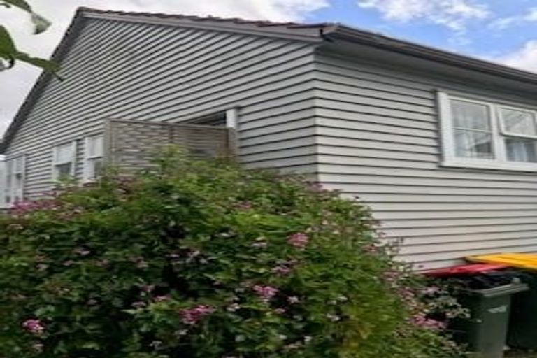 Photo of property in 3 Fruitvale Road, New Lynn, Auckland, 0600