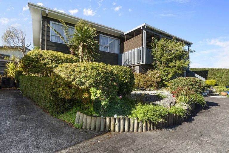 Photo of property in 113 Amanda Avenue, Dinsdale, Hamilton, 3204