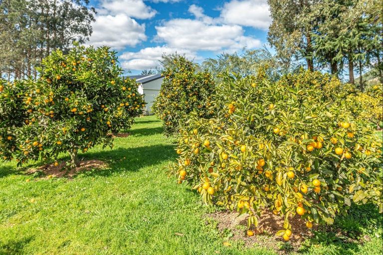 Photo of property in 394 Kaiwhaiki Road, Kaiwhaiki, Whanganui, 4575