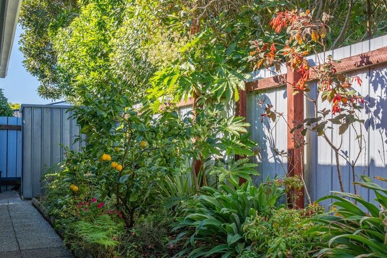 Photo of property in 56a Rewarewa Crescent, Waikanae, 5036