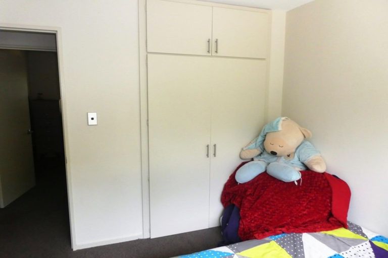 Photo of property in 50a Champion Street, Edgeware, Christchurch, 8013