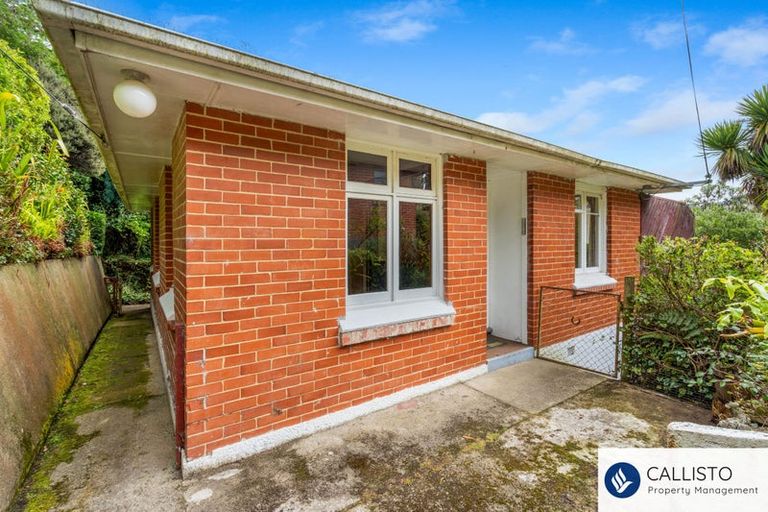 Photo of property in 213 Signal Hill Road, Opoho, Dunedin, 9010