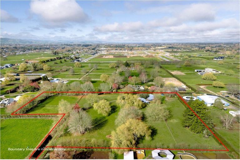 Photo of property in 31 Racecourse Road, Cambridge, 3493