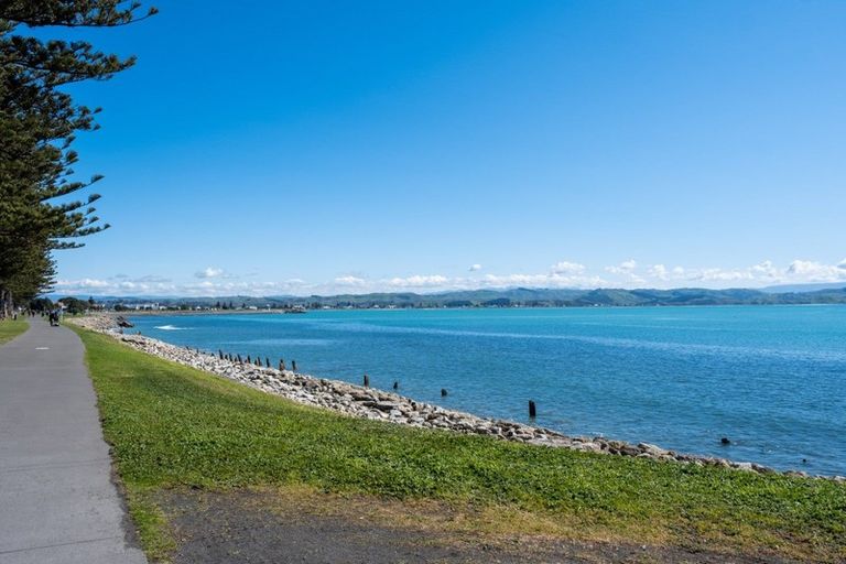 Photo of property in 64 Hardinge Road, Ahuriri, Napier, 4110