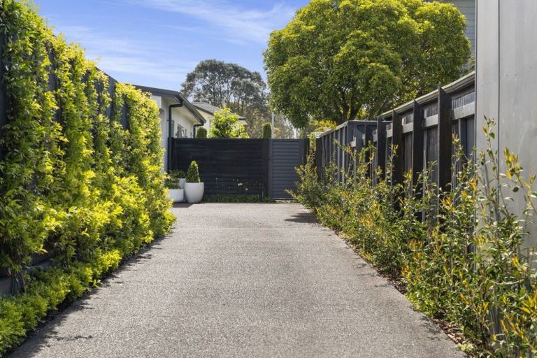 Photo of property in 65a Concord Avenue, Mount Maunganui, 3116