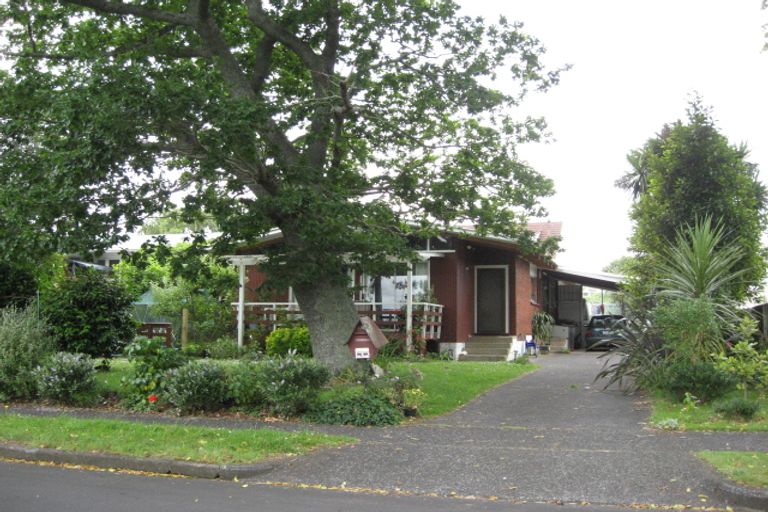 Photo of property in 14 Hogan Street, Pukekohe, 2120