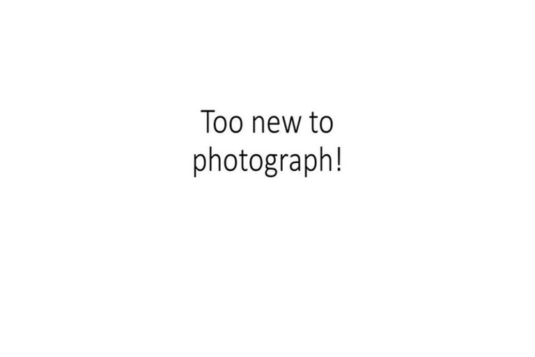 Photo of property in 13 Boundary Road, Opaheke, Papakura, 2113