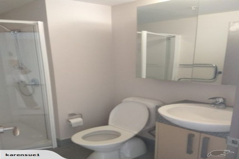 Photo of property in Dual Apartments, 508/142u Vivian Street, Te Aro, Wellington, 6011