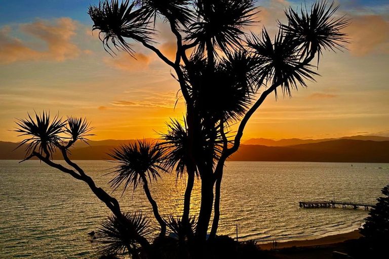 Photo of property in 8 Beere Haven Steps, Seatoun, Wellington, 6022