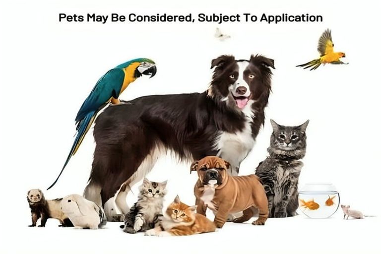 Photo of property in 94 Te Napi Drive, Takanini, 2112