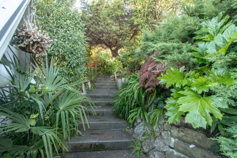 Photo of property in 79 Milton Road, Bluff Hill, Napier, 4110