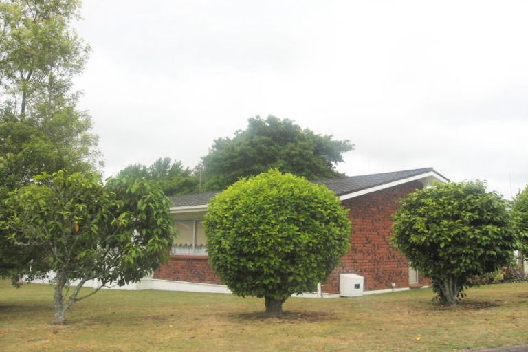 Photo of property in 4 Norrie Street, Te Puke, 3119