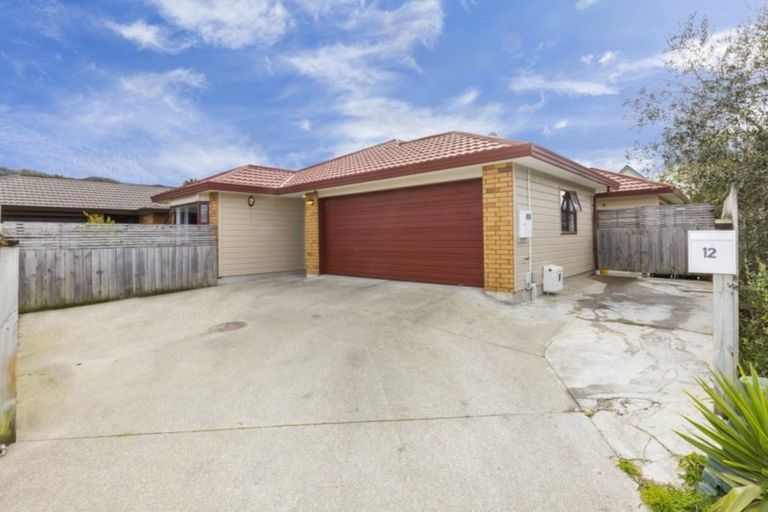 Photo of property in 12 Louis Street, Trentham, Upper Hutt, 5018