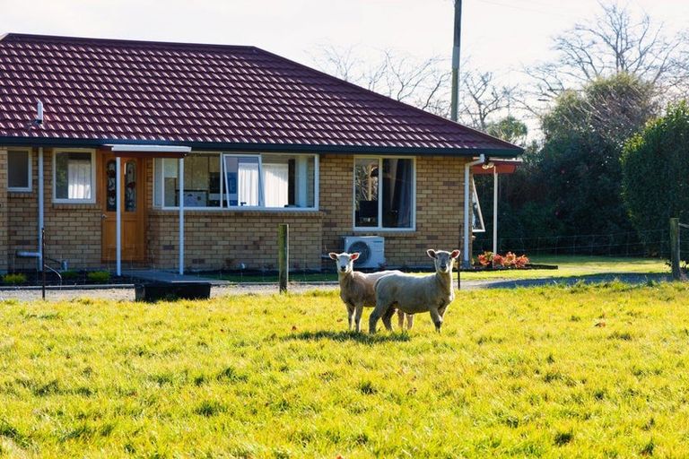 Photo of property in 8 Reeves Street, Cheviot, 7310