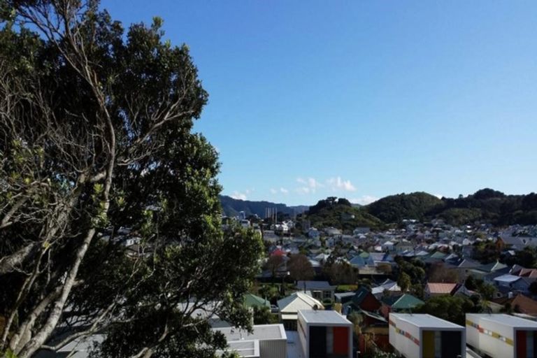 Photo of property in 13d Lawrence Street, Newtown, Wellington, 6021