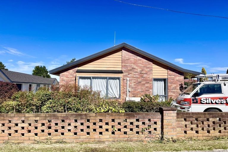 Photo of property in 91 Moorhouse Street, Morrinsville, 3300
