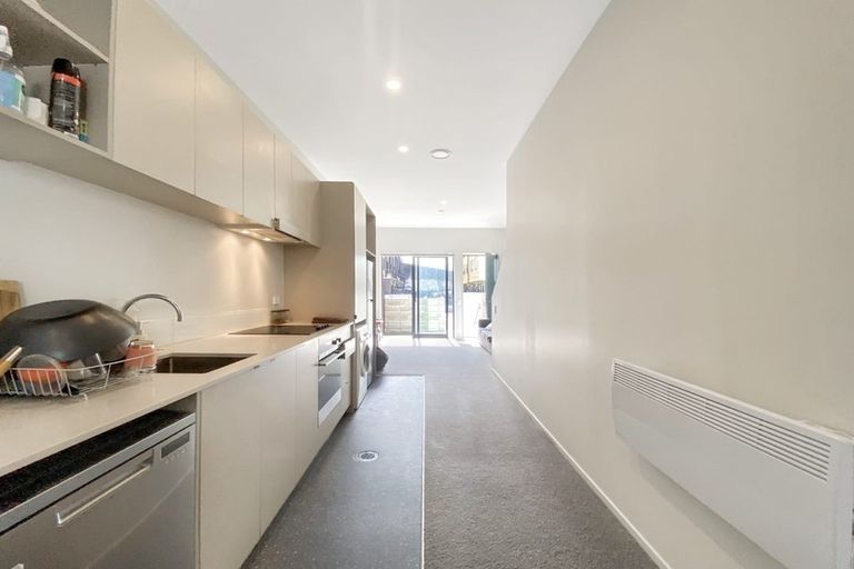 Photo of property in Aniva Terrace, 14 Arney Street, Newtown, Wellington, 6021