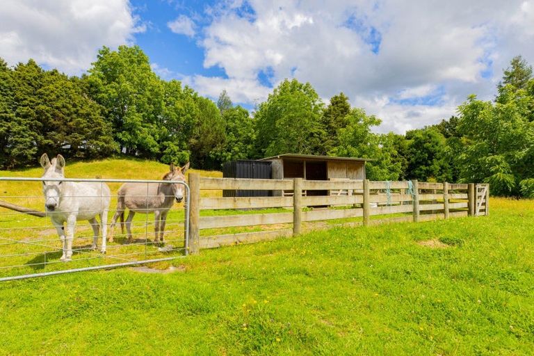 Photo of property in 157b Otapouri Road, Owhango, 3989