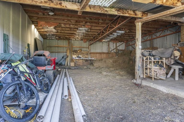 Photo of property in 10 Perth Street, Waikouaiti, 9510
