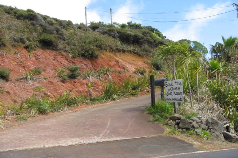 Photo of property in 107 Piha Road, Piha, New Lynn, 0772