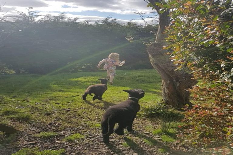 Photo of property in 200 Ngunguru Ford Road, Kiripaka, Whangarei, 0173