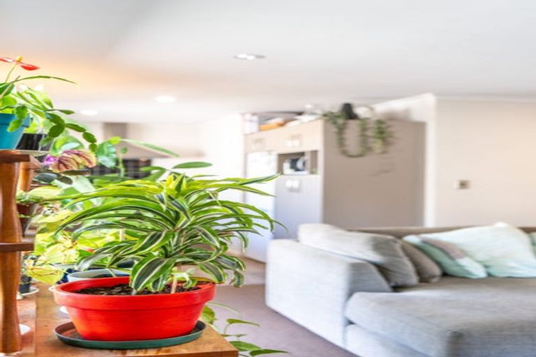 Photo of property in 79d Albert Street, Hamilton East, Hamilton, 3216