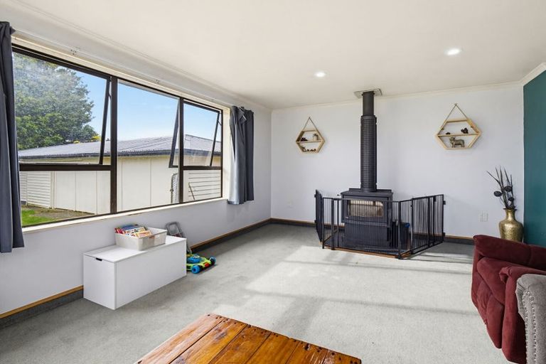 Photo of property in 17 Neptune Street, Dannevirke, 4930