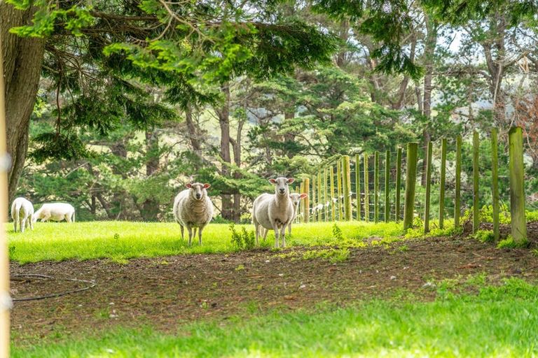 Photo of property in 266 Murphys Road, Judgeford, Porirua, 5381