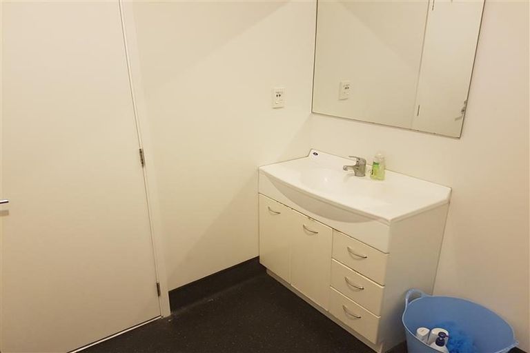 Photo of property in Hanson House, 27ua Hanson Street, Mount Cook, Wellington, 6021