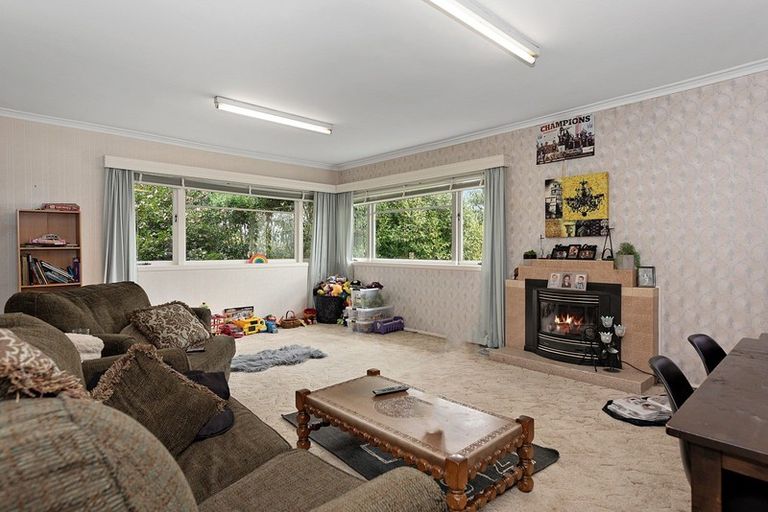 Photo of property in 24 Alison Street, Hamilton Lake, Hamilton, 3204
