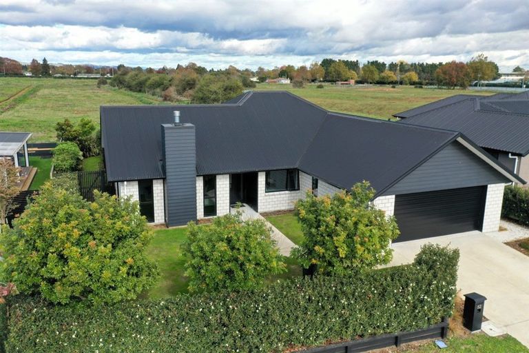 Photo of property in 52 Norfolk Drive, Cambridge, 3434