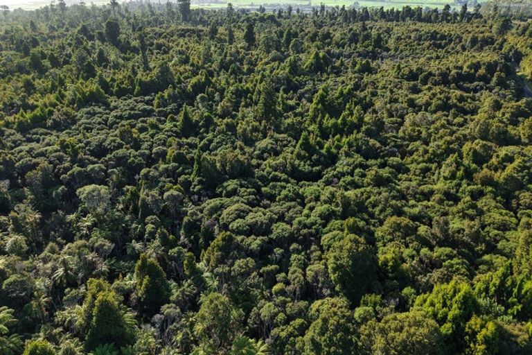 Photo of property in 37 South Terrace Road, Karamea, 7893