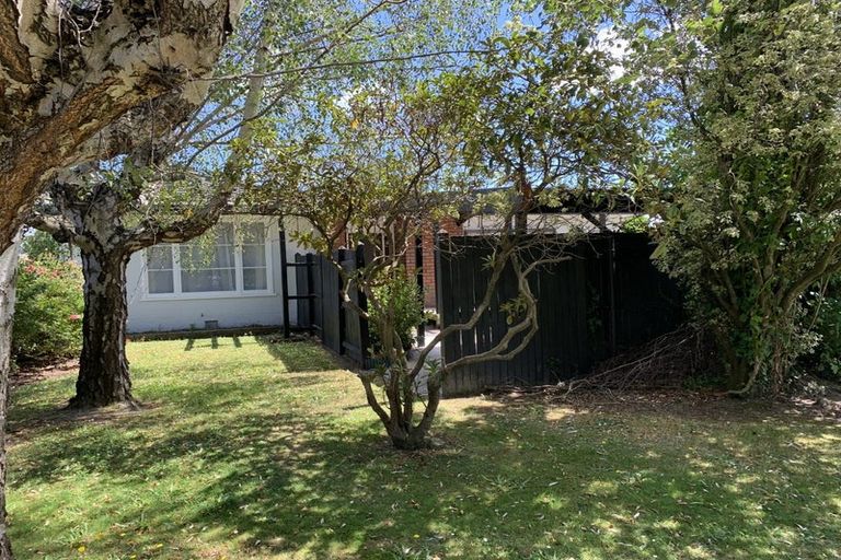 Photo of property in 53 College Street, Awapuni, Palmerston North, 4412